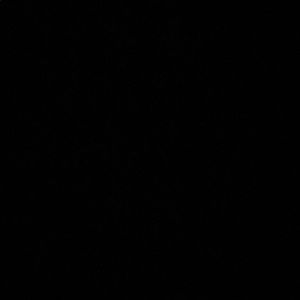 Meet your Posher, Antonio